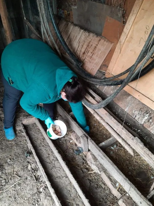 Медицинская сестра Чернокозова И.А. оказывает помощь по хозяйству пенсионерке Емельяненко Е.И., проживающей по адресу: ст. Передовая ул. Советская 26. Дата 08.05. 2020 г.