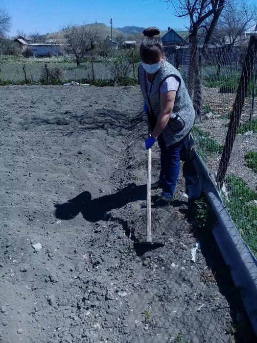 Санитарка Папенко Г.П. помогает с посадкой кукурузы ветерану труда-инвалиду Карниловой Л.И.
